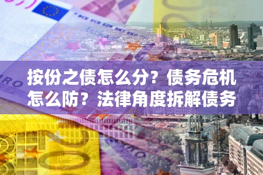 武汉按份之债怎么分？债务危机怎么防？法律角度拆解债务分配与风险自保指南