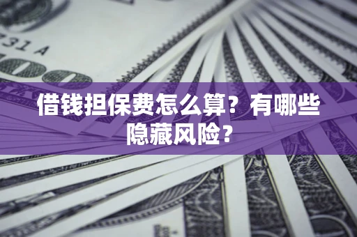 武汉借钱担保费怎么算？有哪些隐藏风险？