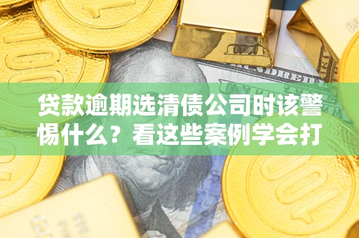 武汉贷款逾期选清债公司时该警惕什么？看这些案例学会打翻身仗
