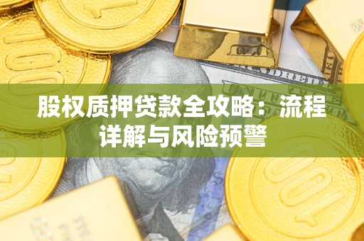 武汉股权质押贷款全攻略：流程详解与风险预警