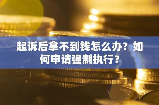 武汉起诉后拿不到钱怎么办？如何申请强制执行？