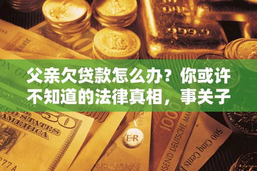 武汉父亲欠贷款怎么办？你或许不知道的法律真相，事关子女未来