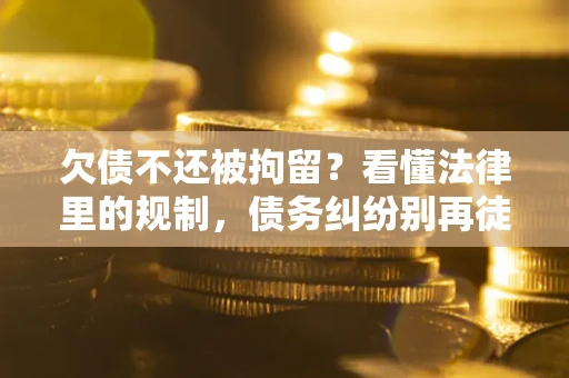 武汉欠债不还被拘留？看懂法律里的规制，债务纠纷别再徒劳奔波