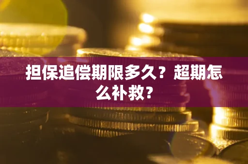 武汉担保追偿期限多久？超期怎么补救？