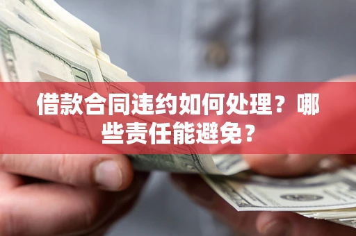 武汉借款合同违约如何处理？哪些责任能避免？