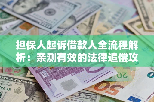 武汉担保人起诉借款人全流程解析：亲测有效的法律追偿攻略