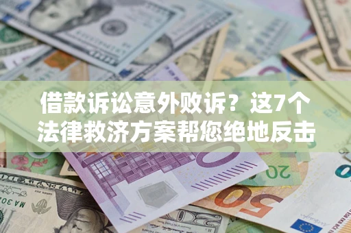 武汉借款诉讼意外败诉？这7个法律救济方案帮您绝地反击！