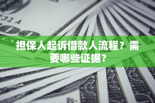 武汉担保人起诉借款人流程？需要哪些证据？