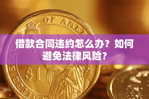 武汉借款合同违约怎么办？如何避免法律风险？